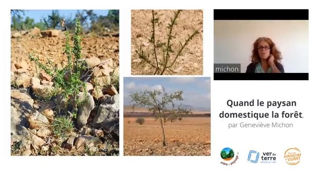 Quand le paysan domestique la forêt, avec Geneviève Michon смотреть онлайн