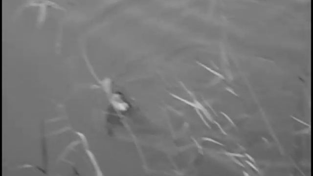 No Kill смотреть онлайн