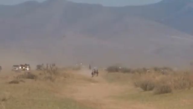 Открытие сезона конных скачек 2014 года в Туве смотреть онлайн