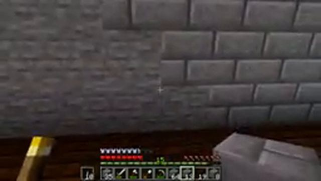 Minecraft 11/11/20