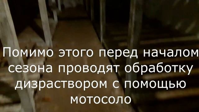 Бюджетное овощехранилище. Cheap vegetable store. смотреть онлайн