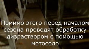 Бюджетное овощехранилище. Cheap vegetable store.