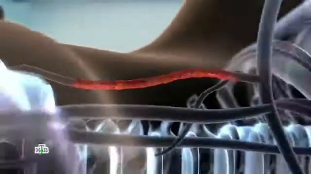 Сфигмометр VaSera - в Российском Геронтологическом Научно-Клиническом Центре (РГНКЦ)