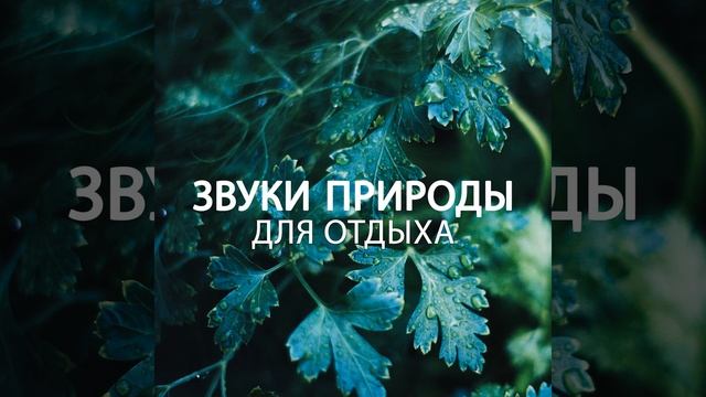 Релаксация с фортепиано