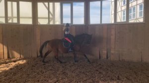 ГАЛОП// Коноблог// Мои сложности на галопе