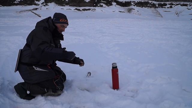 Ребята-это вообще КОНСКИЙ ОКУНЬ! Попали в крупного окуня ,оторвались на безмотылку РЫБАЛКА УДАЛАСЬ! смотреть онлайн