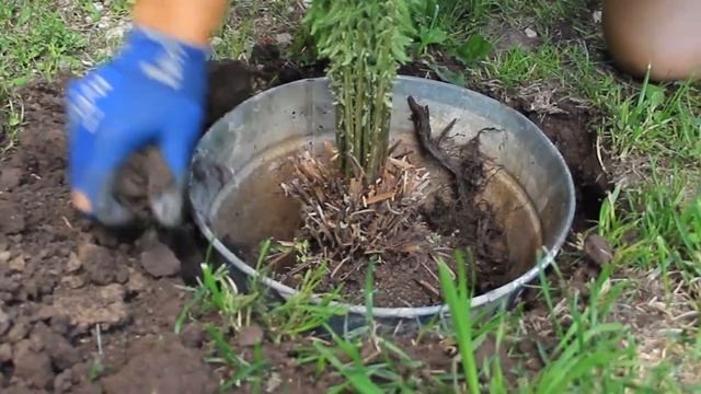 Маркетинг и Предпринимательство