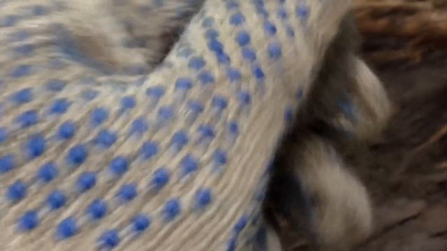 Удачный коп в медном лесу. Севернее Золочева/ Lucky Search in Copper forest смотреть онлайн