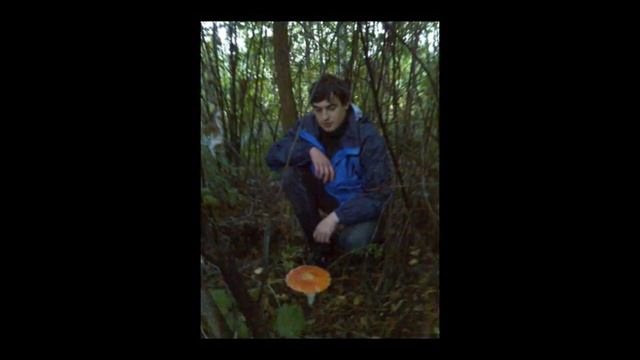Грибы и грибники Изюмского леса. смотреть онлайн
