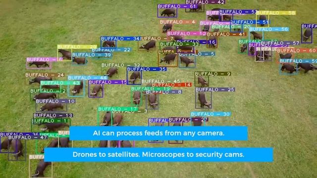 Drone AI | Counting Animals With Computer Vision | Object Detection AI Models | Chooch смотреть онлайн
