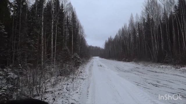 Охота на зайца с русско пегой гончей смотреть онлайн