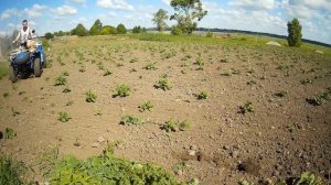 Купил Квадроцикл ЗИМ 350