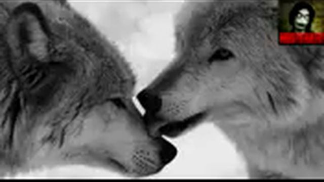 очень грустная легенда про волка смотреть онлайн
