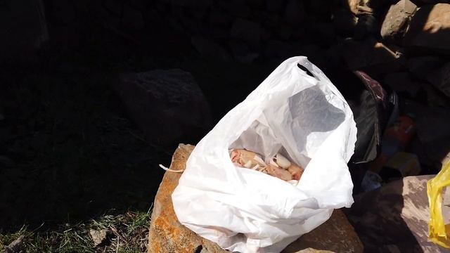 BİR GÜN BOYUNCA ÇOBAN OLMAK ! Doğal Yaşam - Uzundere смотреть онлайн