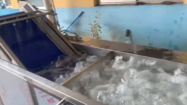 Барботажная ванна для мойки овощей и фруктов с нежной кожурой | Vega BW 3400 смотреть онлайн