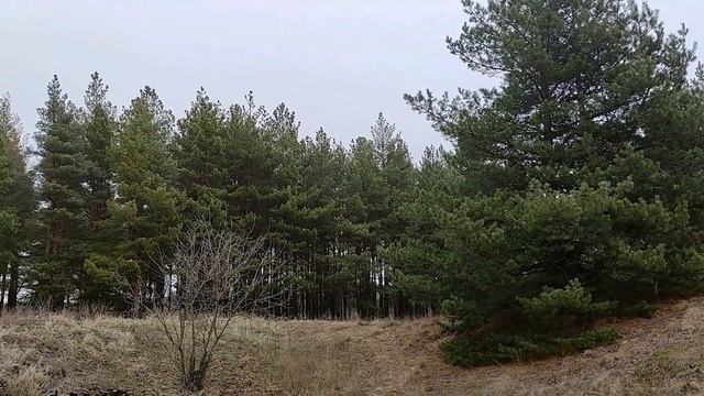 24 декабря праздник Никонов день. Народные приметы и традиции. Что нельзя делать. Именинники дня. смотреть онлайн