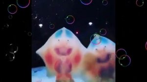 детёныши  морского ската милахи