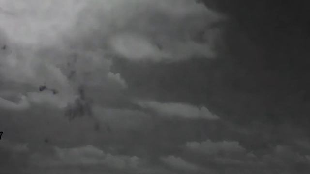 Aerial Antics смотреть онлайн