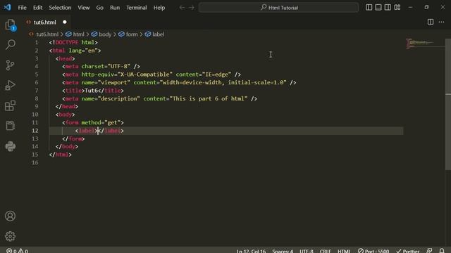 Html Tutorial 6: Forms, P, Label, Input Tag Full Explained смотреть онлайн
