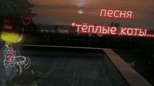 Песня *Тёплые коты...* | #ПЕСНЯ #КОТЫ