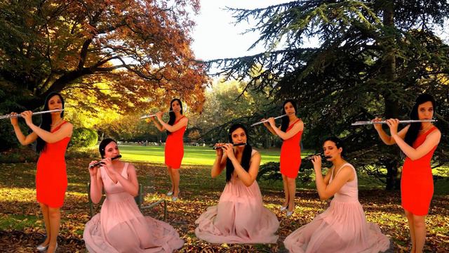 Valse d'Amelie | Piccolo and Flute Band (cover) | アメリアのワルツ|अमेलिया का वाल्ट्ज |阿米莉亚的华尔兹| смотреть онлайн