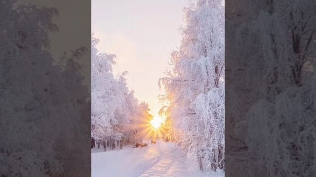 "СНЕГ ЛЕТИТ" Шувалова Светлана смотреть онлайн