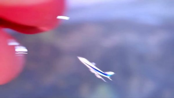 Giantess D.Va - turbulence ( giantess animation )