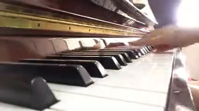 Sonnet 47 смотреть онлайн