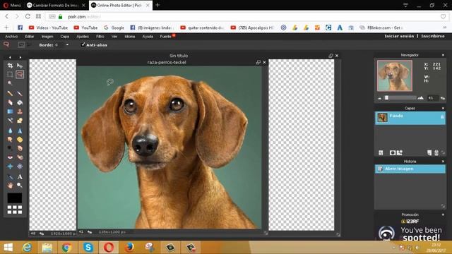 COMO CONVERTIR IMAGEN a PNG ONLINE Pagina para Poner Fondo Transparente a una Foto 2023 смотреть онлайн