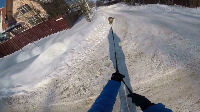 -11, отсрочка 40 мин 10 02 24 смотреть онлайн