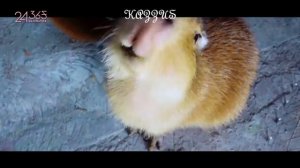 «24/365 with BlACKPINK», эпизод 10