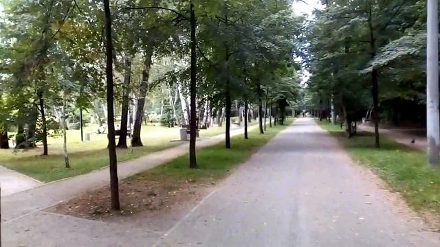 Москва 2939 2-й (второй) Лучевой просек, Золотой пруд в парке Сокольники лето день