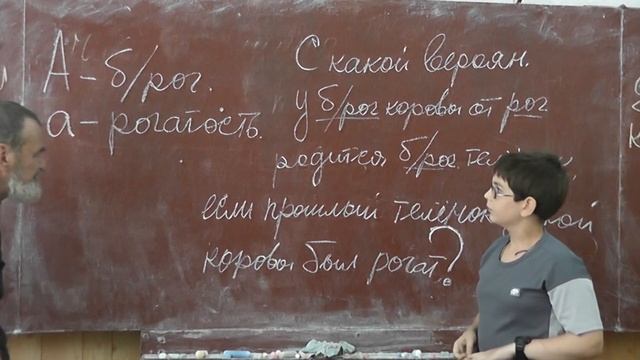 90 Рогатая корова, рогатый телёнок и безрогий бык смотреть онлайн