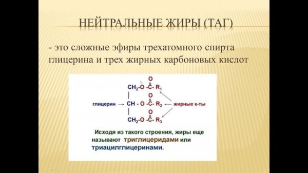 Классификация и строение липидов (часть 1)