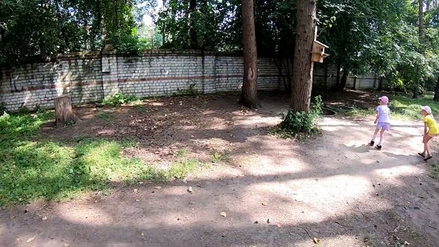 Город Белогорск. Подкормили белок в городском парке!) смотреть онлайн