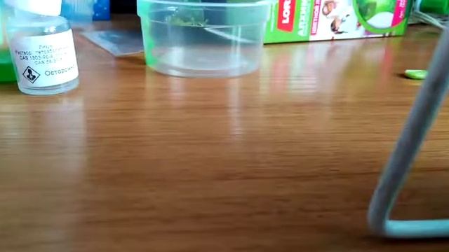 Набор для творчечтва алхимик.химические опыты.цветной лизун.часть3