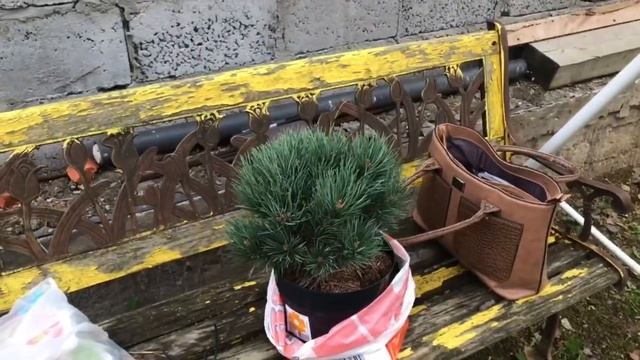 Моя любимая Дача/Осень/Октябрь/уборка листвы/Подготовка роз к зиме/Шашлыки. смотреть онлайн