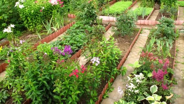 Ограждения для грядок и клумб смотреть онлайн