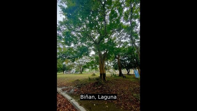 Just Php 16K - 35k Per sqm Residential Lot For Sale in Biñan Laguna смотреть онлайн