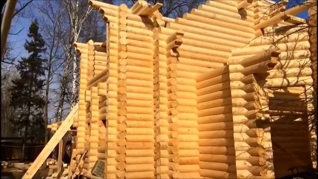 Сруб дома из оцилиндрованного бревна смотреть онлайн
