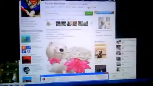 Видео c веб-камеры от 15 ноября 2014 г., 08:12 (PST) смотреть онлайн