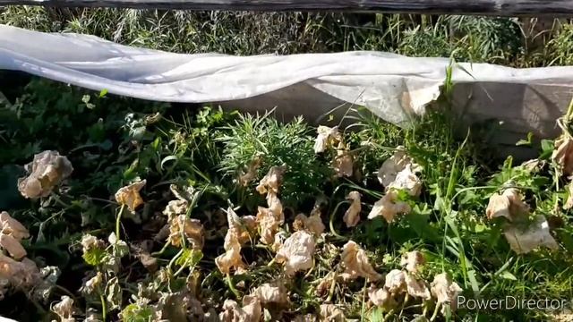 Творческие Идеи и Советы