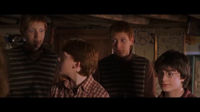 Гарри Поттер в Консерватории ЧАСТЬ 2 [Озвучка от Stradivaly] смотреть онлайн
