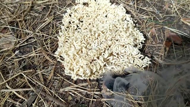 ДЫМАВУХА из РОЛТОН! (1).mp4 смотреть онлайн