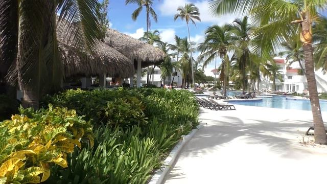 occidental punta cana обзор отеля Доминикана после урагана смотреть онлайн
