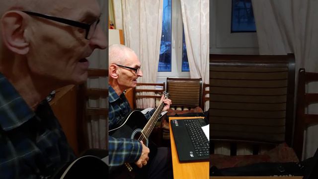 темная лошадка