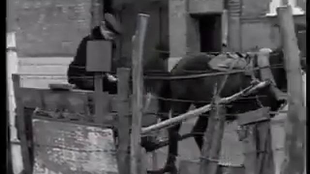'Шире шаг, маэстро!' Дипломная работа выпускника ВГИКа С Макиева мастерская М И Туманишвили, В В А смотреть онлайн