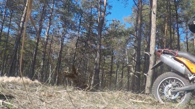 Honda xr250 Yamaha ttr250 Viper vxr250 смотреть онлайн