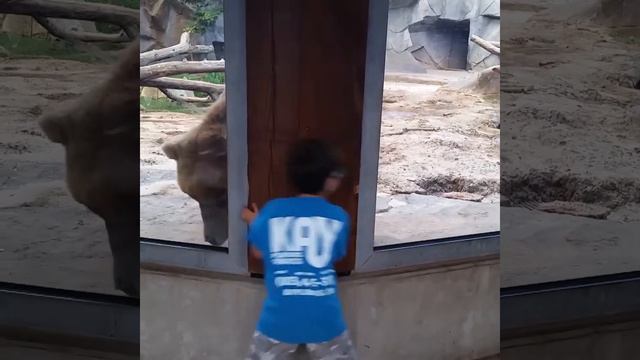 интересный зоопарк смотреть онлайн