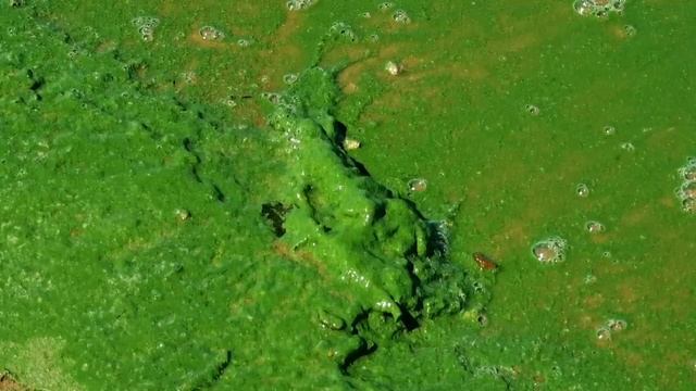 СПАСИТЕ ВОЛГУ! ПОДНИМИТЕ УРОВЕНЬ ВОДЫ ДО 68 метров. смотреть онлайн